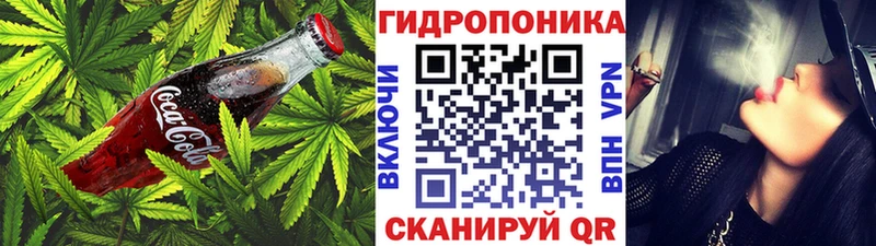 блэк спрут зеркало  Бородино  Canna-Cookies конопля 