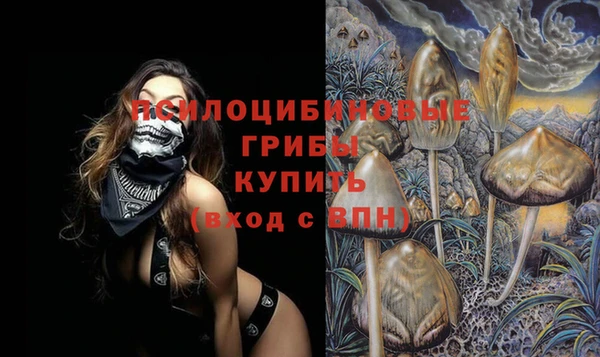 бутират Белокуриха