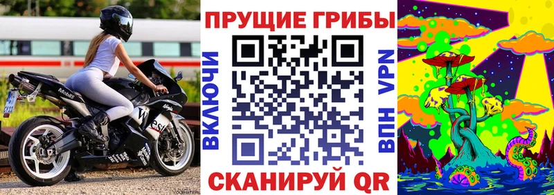MEGA вход  Бородино  Галлюциногенные грибы прущие грибы 