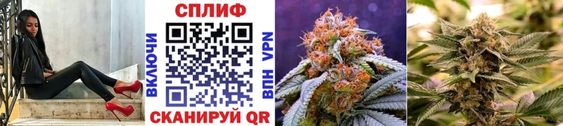 Шишки марихуана THC 21% гидра зеркало Бородино что такое наркотик